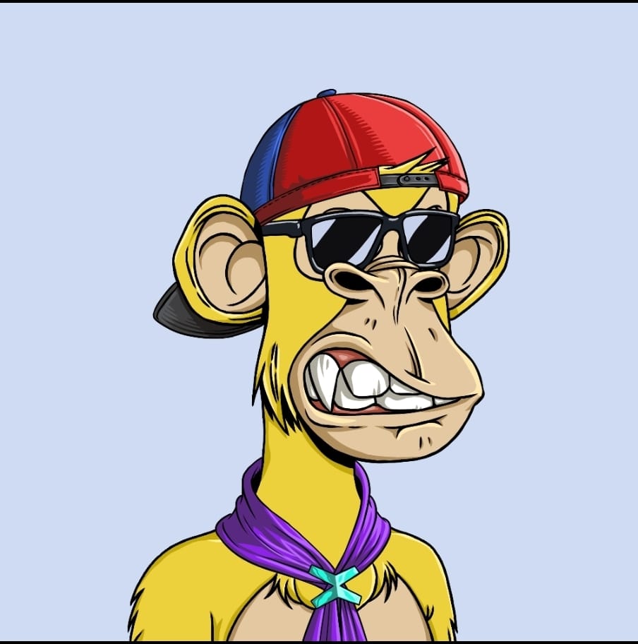 WhatsApp Image 2025-11-19 at 9.46.39 AM