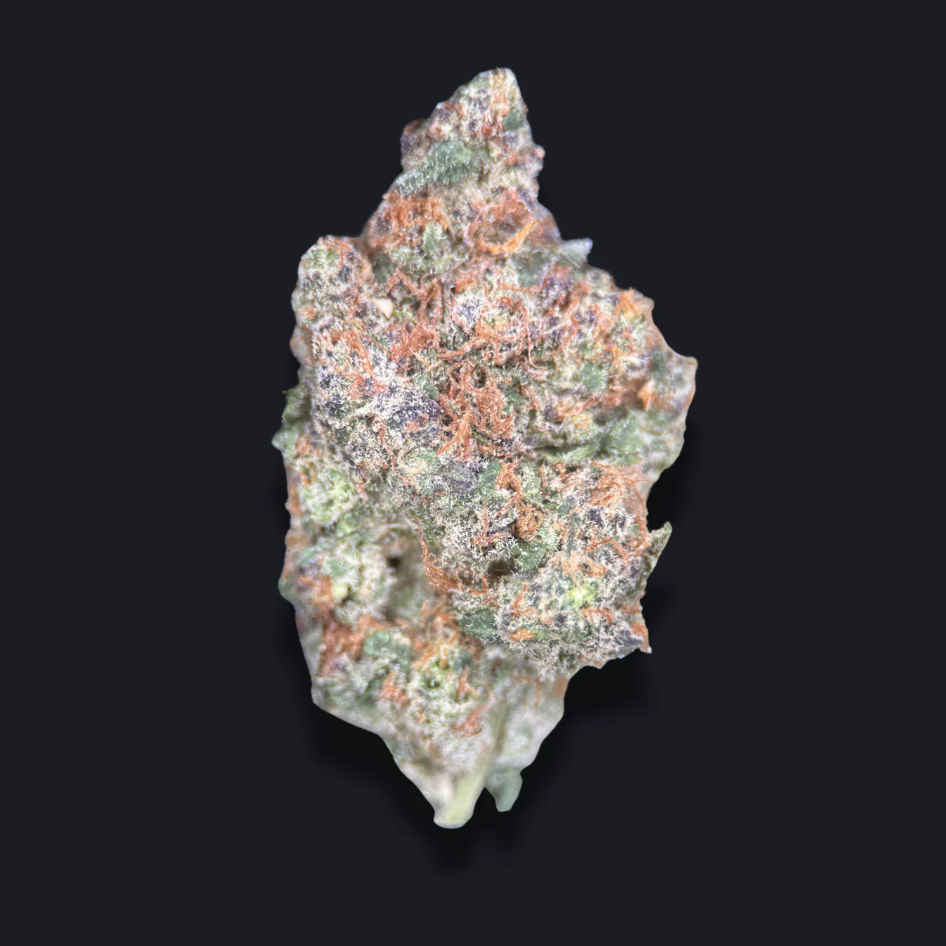 PURPLELEMONPUNCH.png